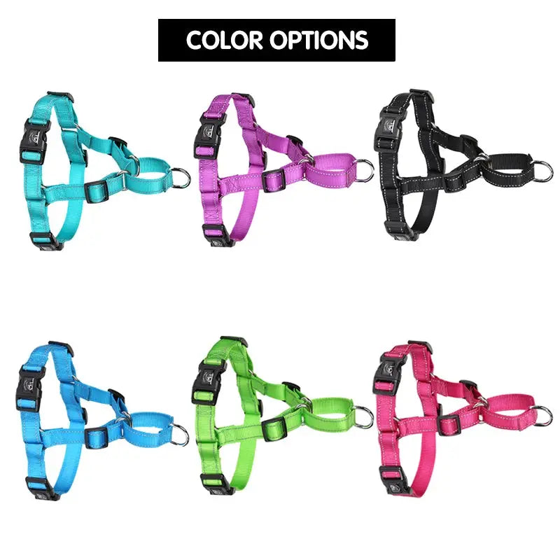 proSafe Comfort Halter