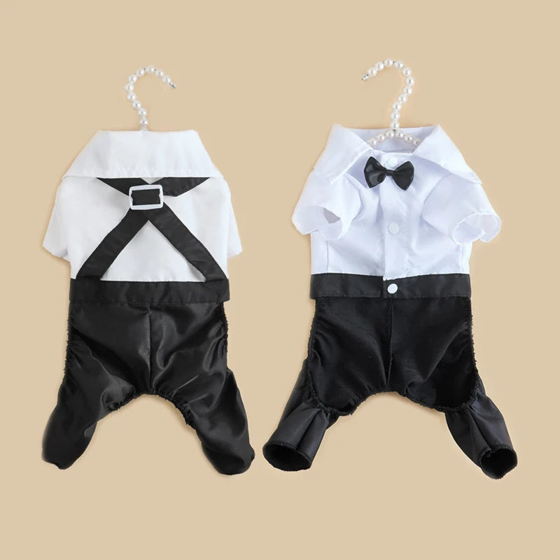 SUIT for Small Dogs/CAT CobraDobra