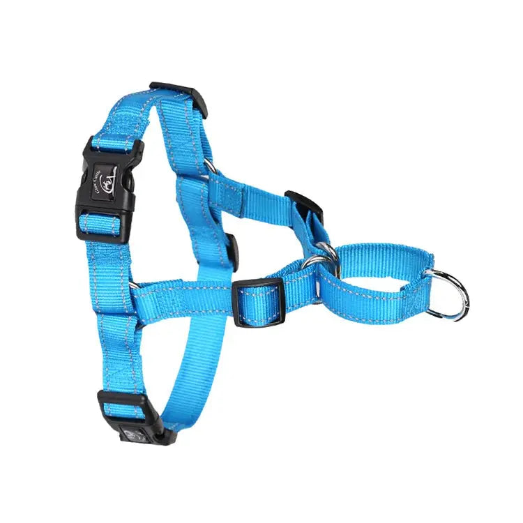 proSafe Comfort Halter
