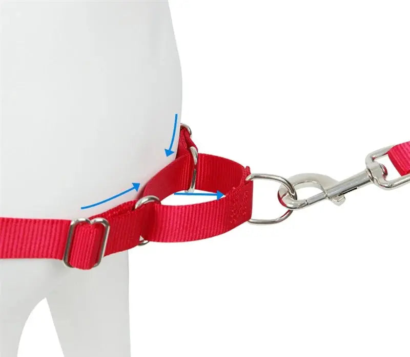 IronStrong Vest