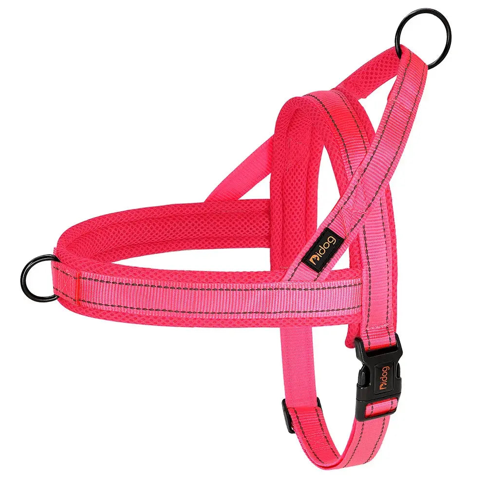 EverGlow Personalized Harness