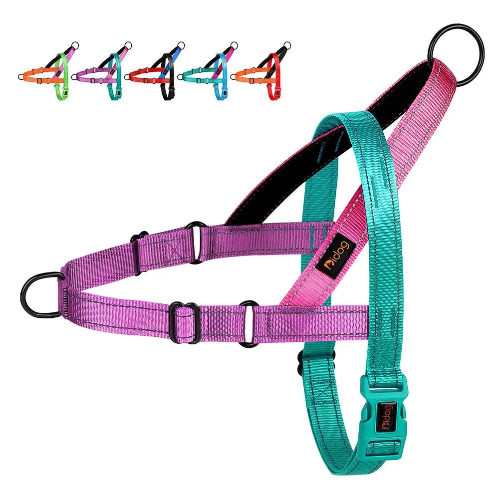 ActiveNight Harness