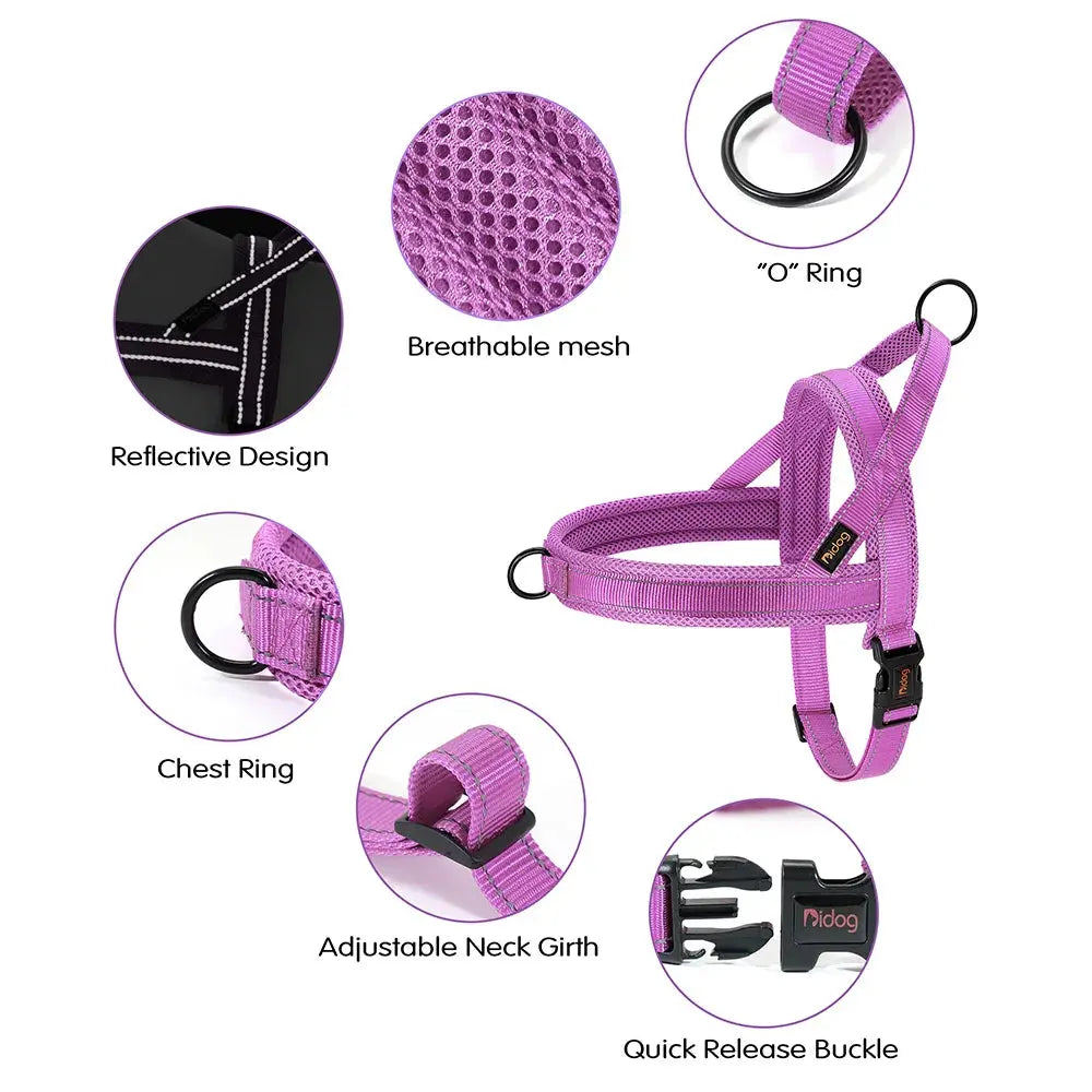 SafeStep Reflective Harness