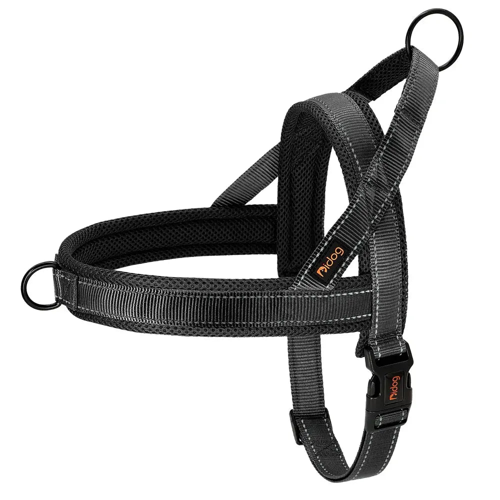 EverGlow Personalized Harness