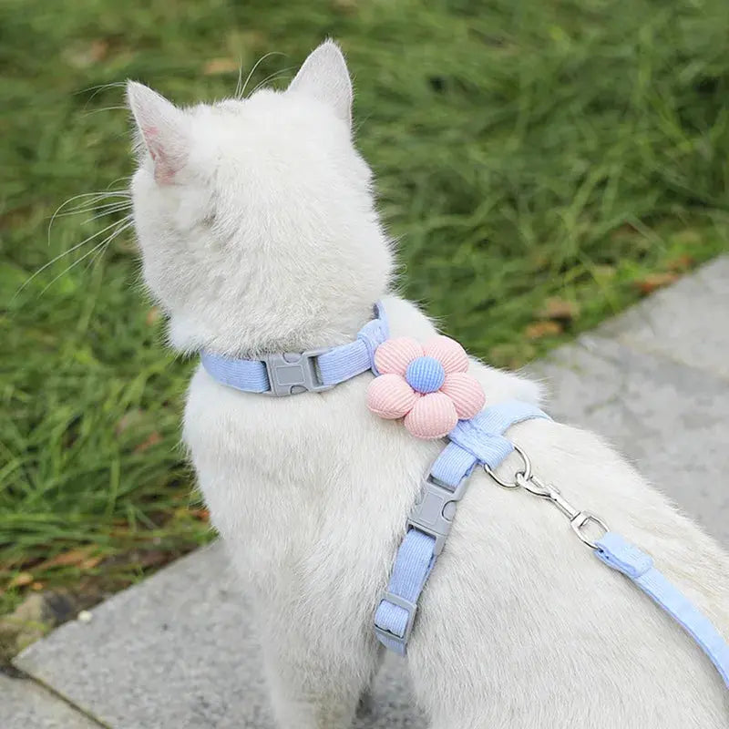 Cat Harness and Leash Sets Adjustable Dog Harness for Small Dog Leash Breashable Pet Harness Out Walking Dog Strap CobraDobra
