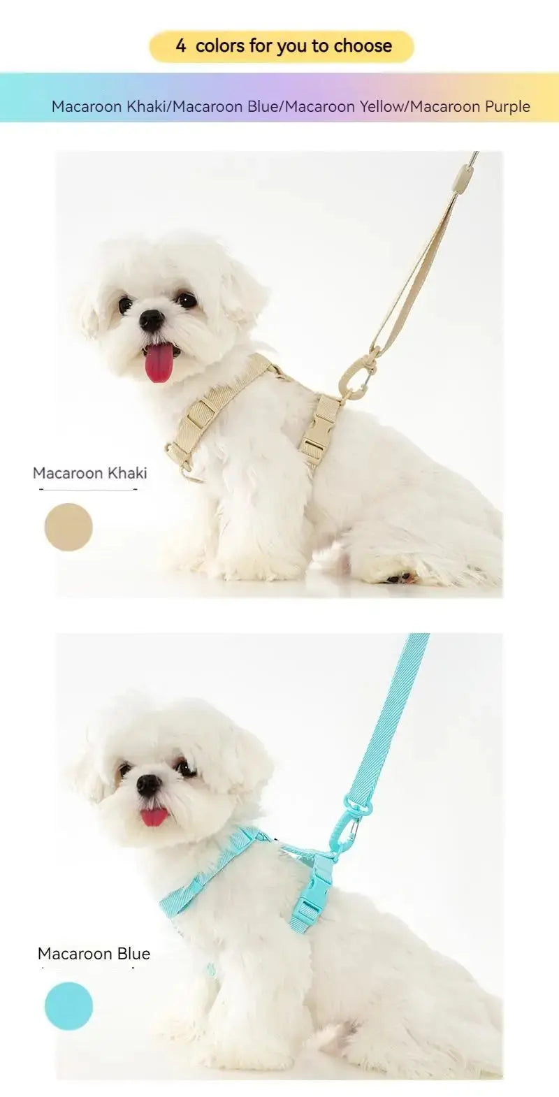 LittleBuddy Essentials