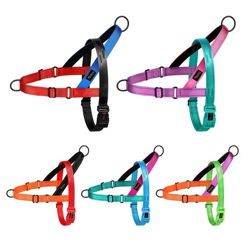 ActiveNight Harness