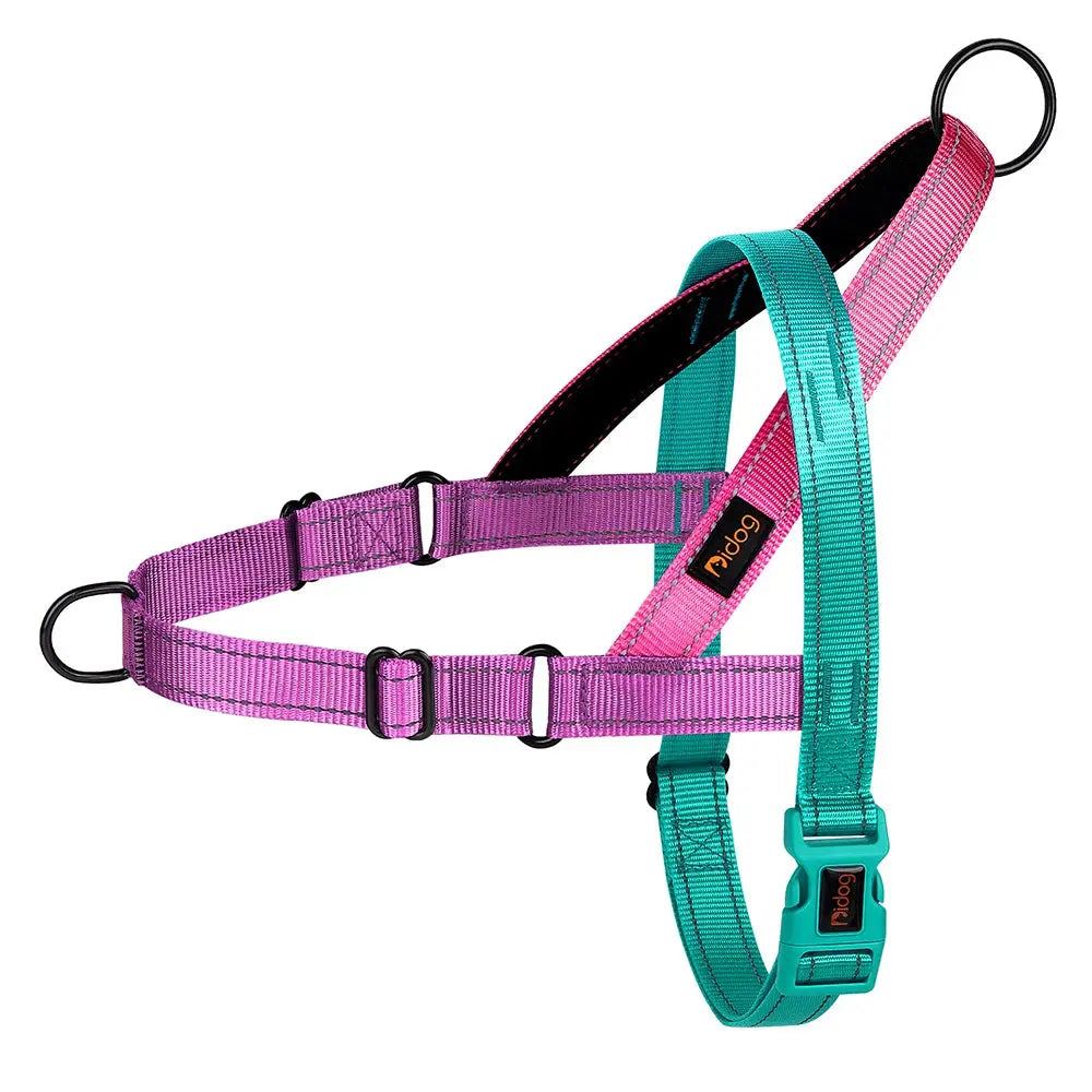 ActiveNight Harness