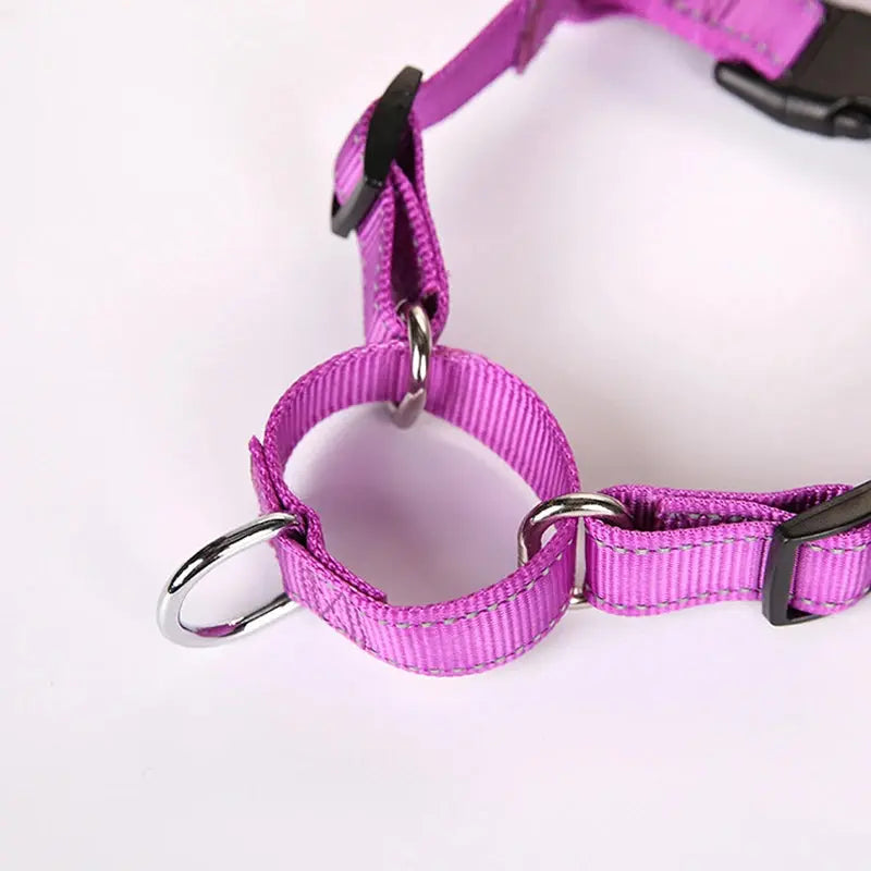 proSafe Comfort Halter