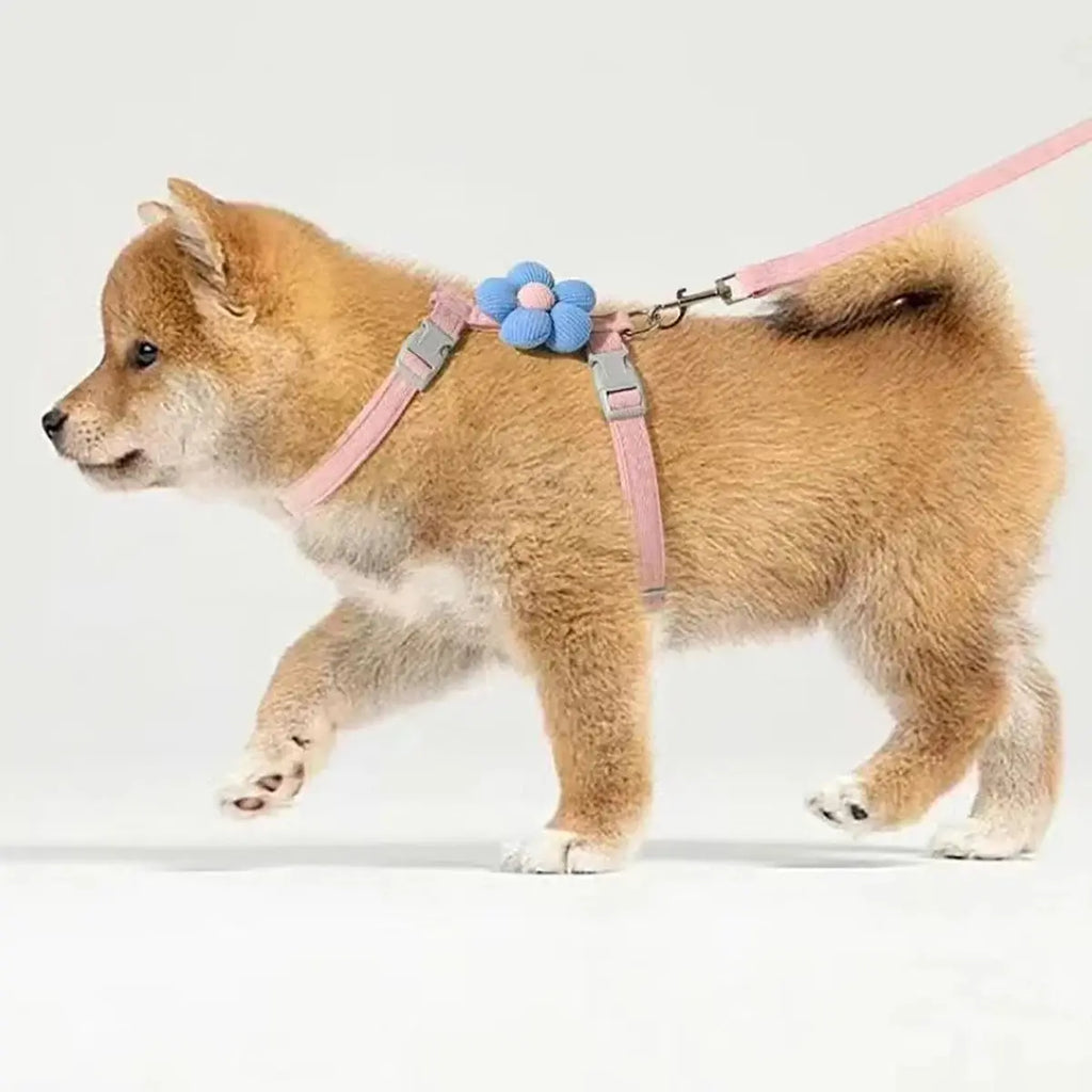 Cat Harness and Leash Sets Adjustable Dog Harness for Small Dog Leash Breashable Pet Harness Out Walking Dog Strap CobraDobra