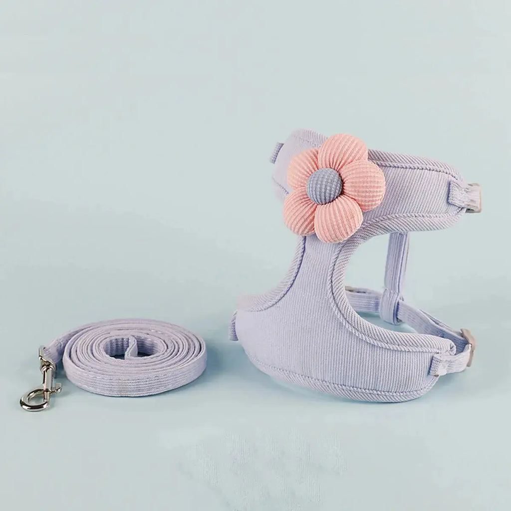 Cat Harness and Leash Sets Adjustable Dog Harness for Small Dog Leash Breashable Pet Harness Out Walking Dog Strap CobraDobra