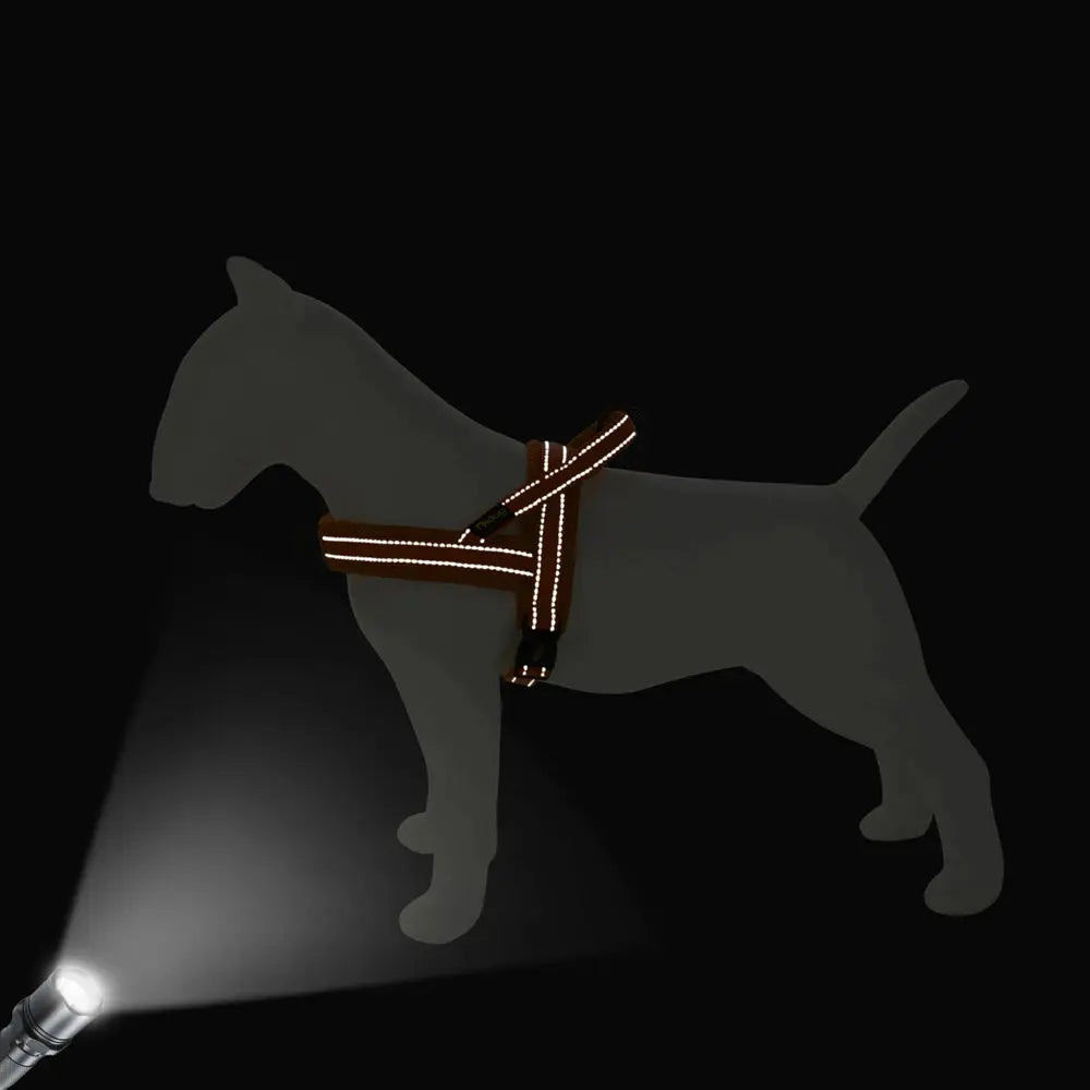 EverGlow Personalized Harness