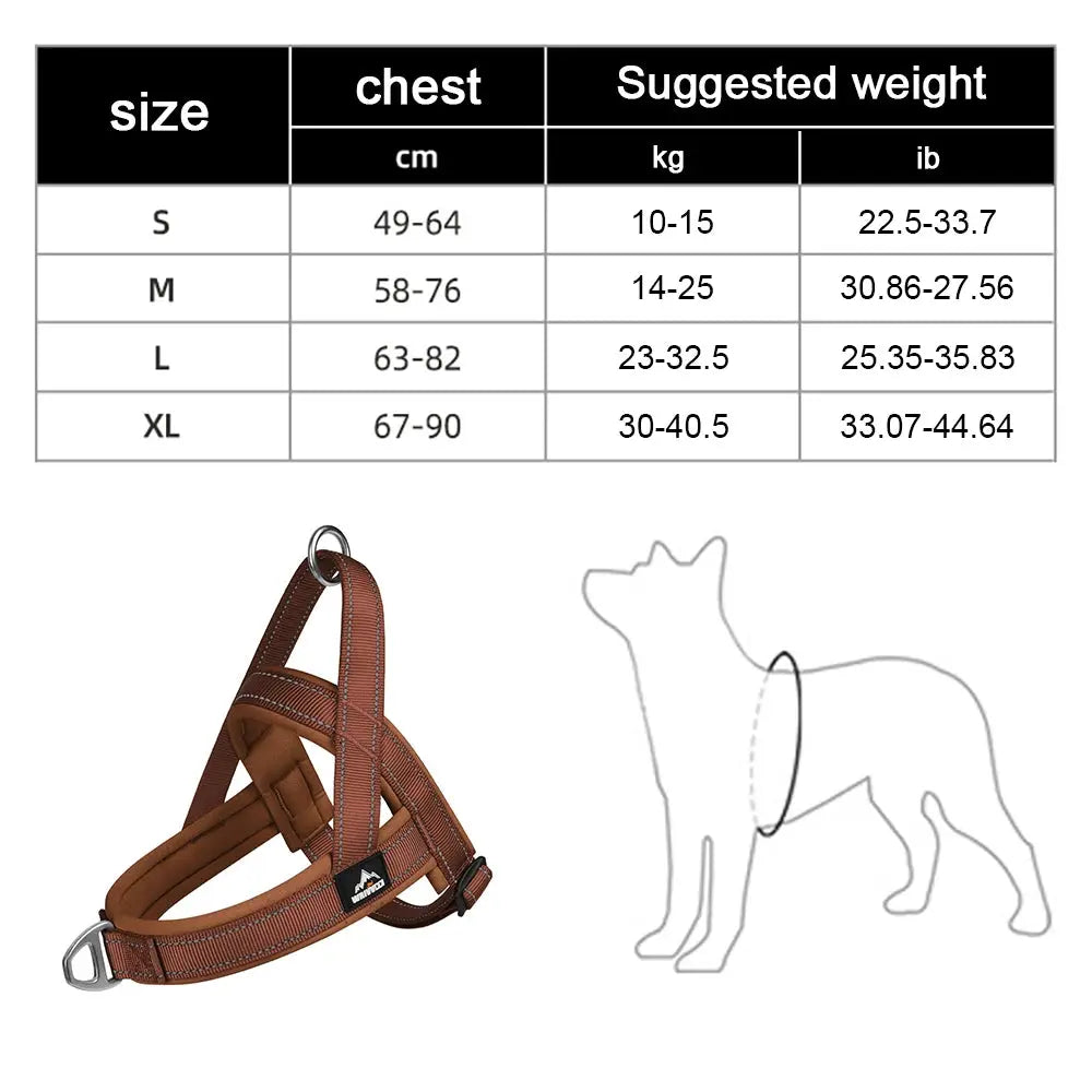 SteadyHalter Harness