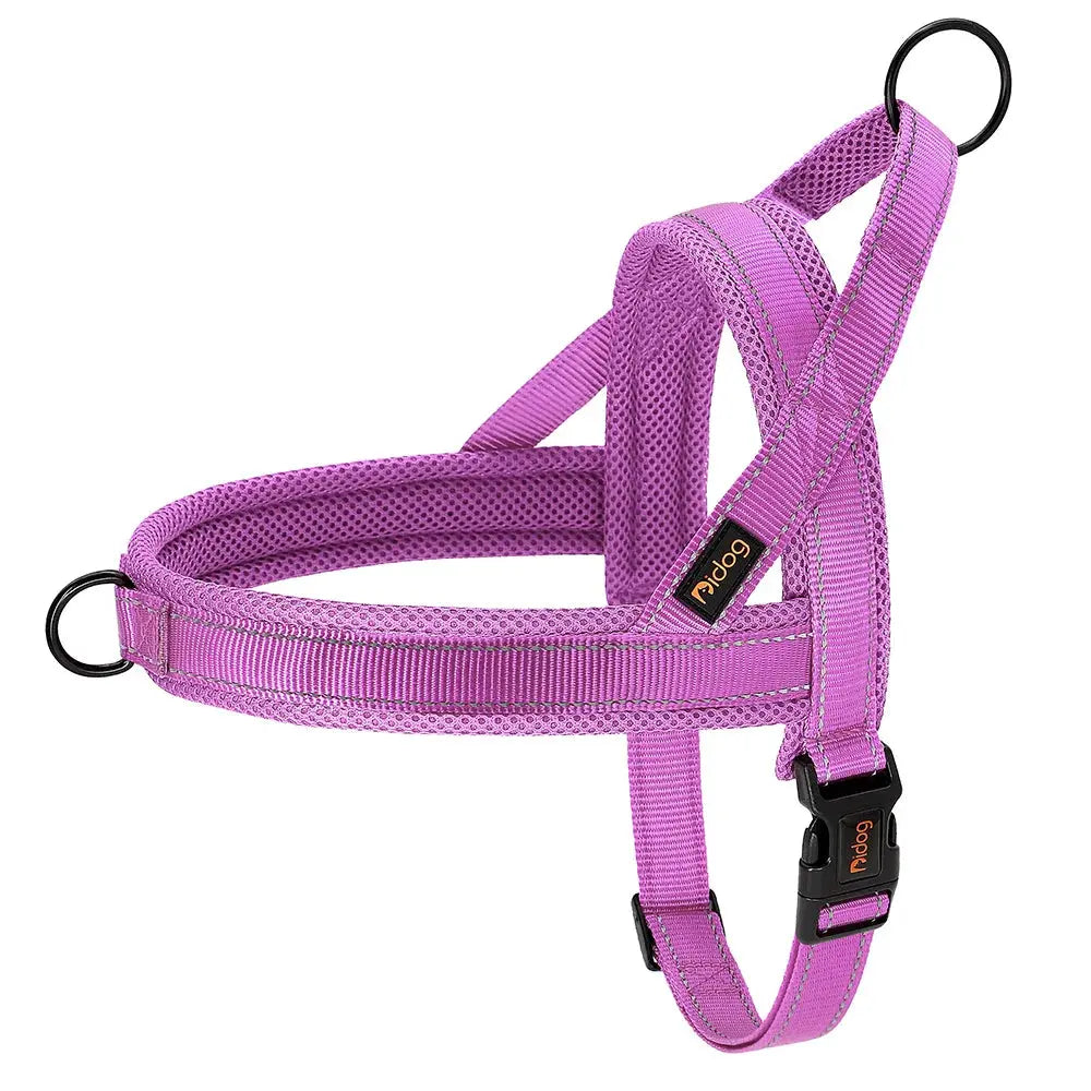 EverGlow Personalized Harness