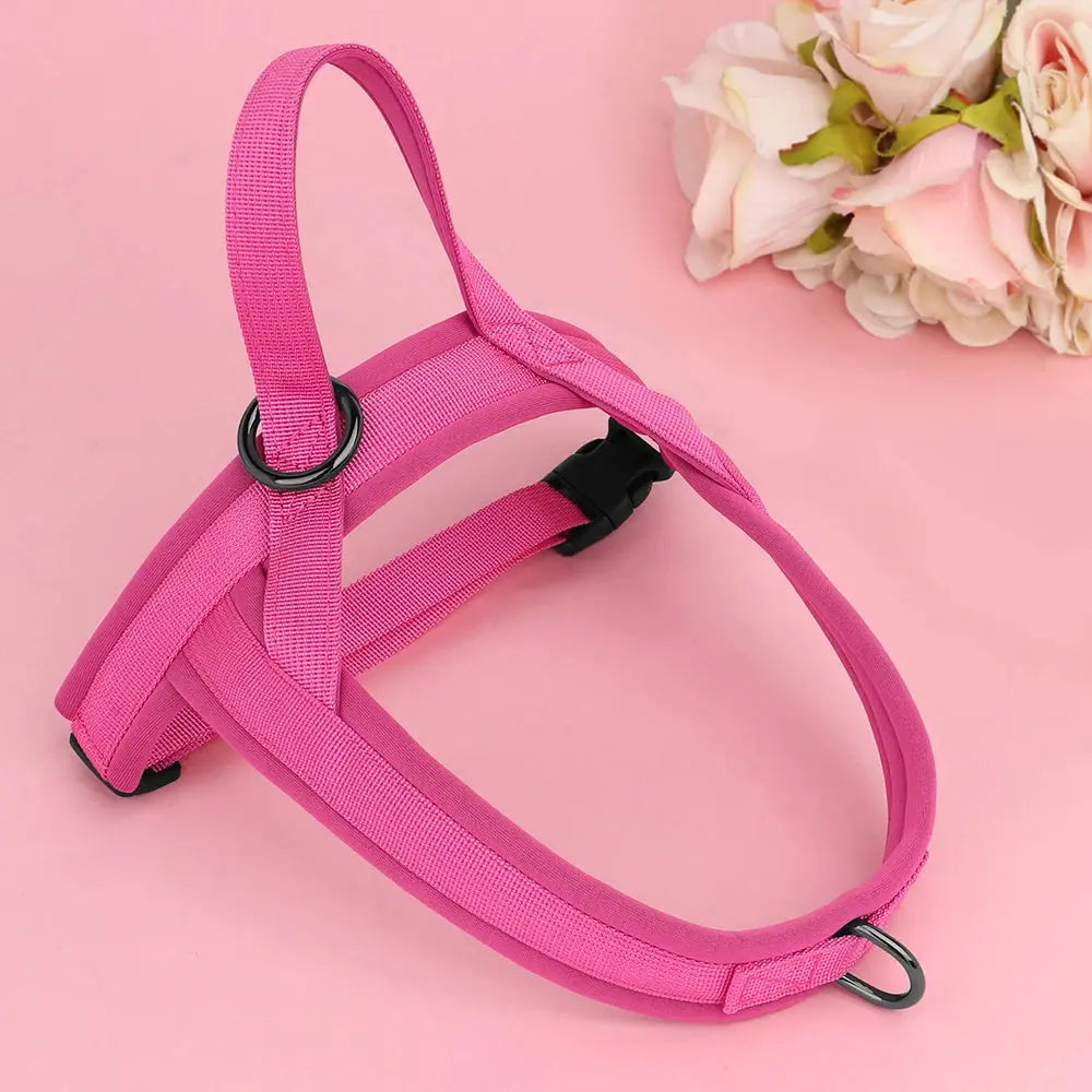 SafeStep Reflective Harness