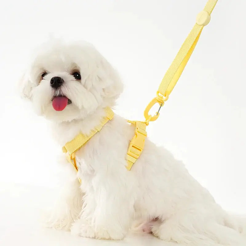 LittleBuddy Essentials