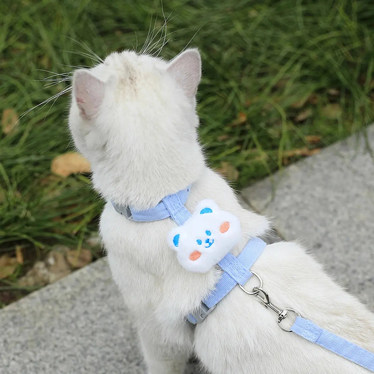 Cat Harness and Leash Sets Adjustable Dog Harness for Small Dog Leash Breashable Pet Harness Out Walking Dog Strap CobraDobra