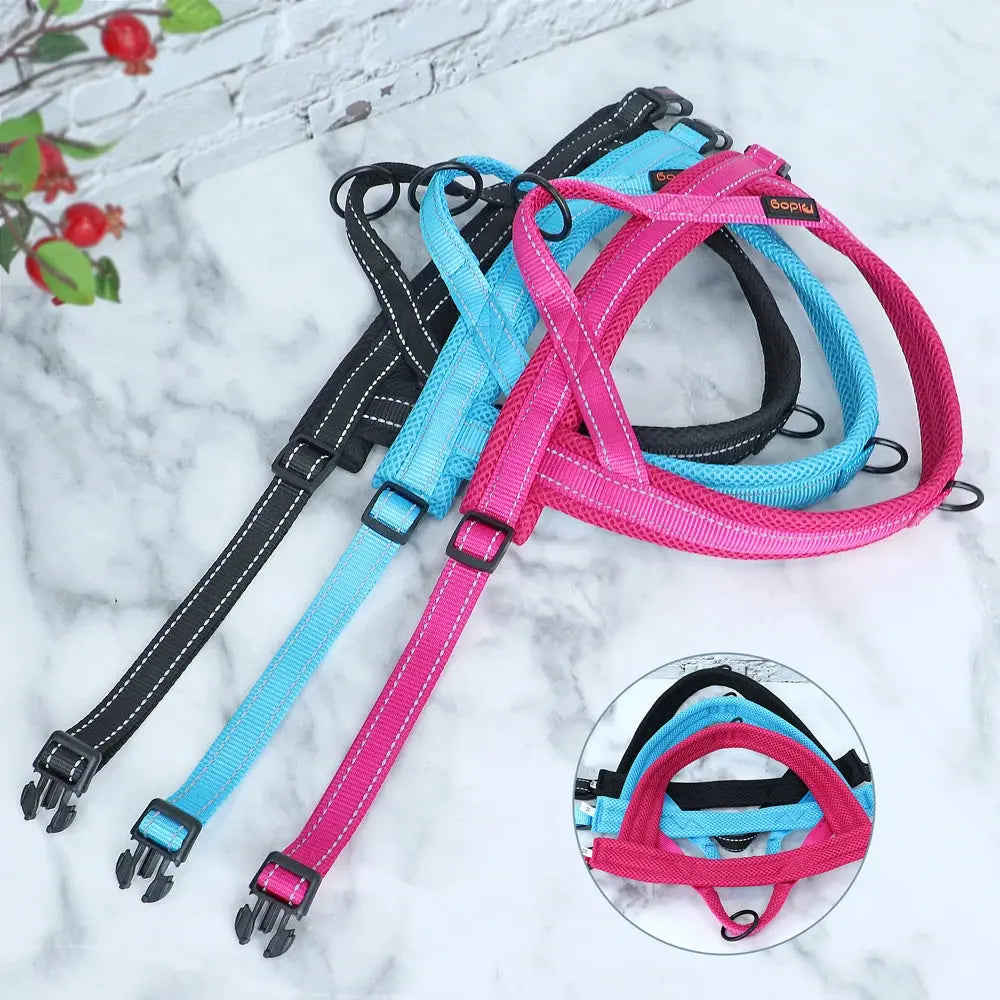 EverGlow Personalized Harness