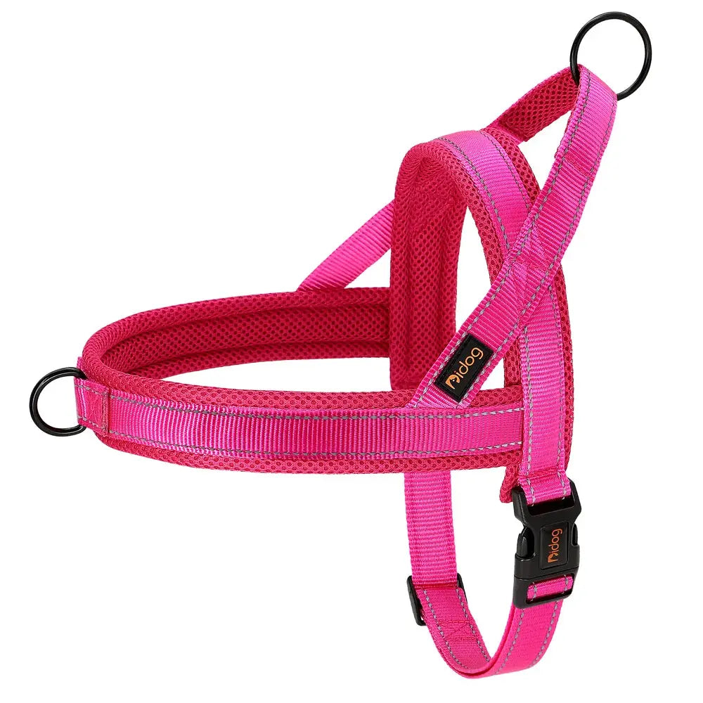 EverGlow Personalized Harness
