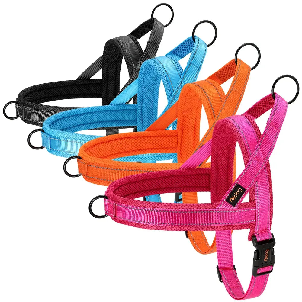 EverGlow Personalized Harness