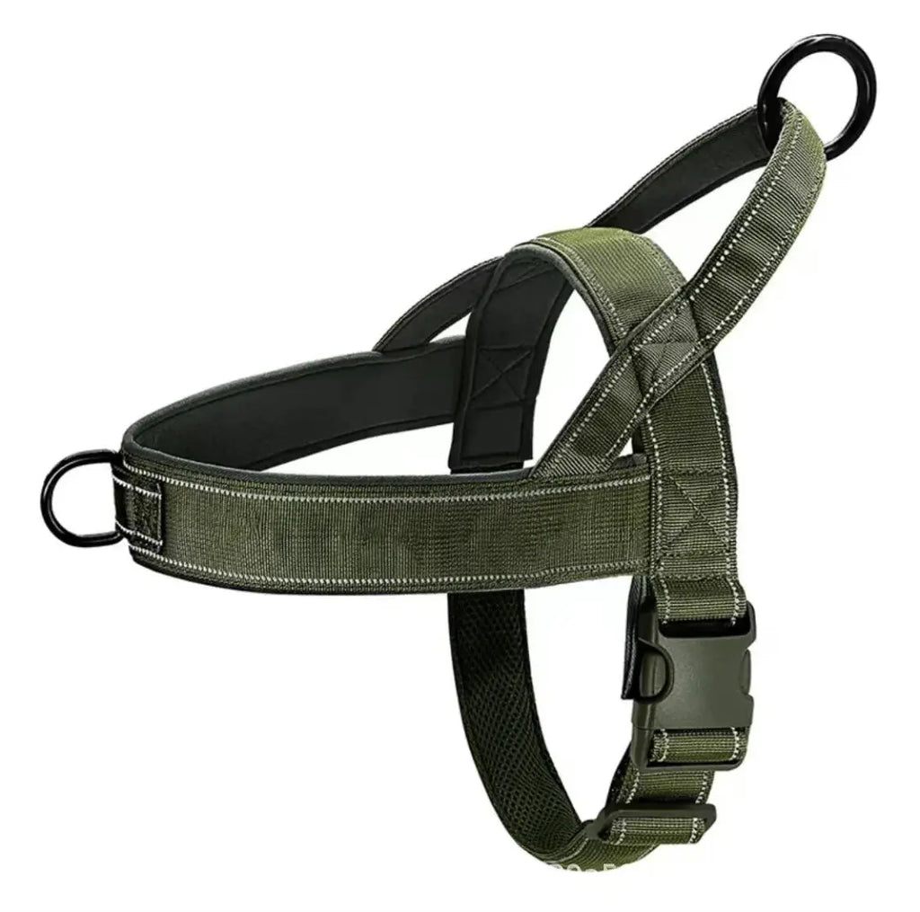 EasyGo Harness