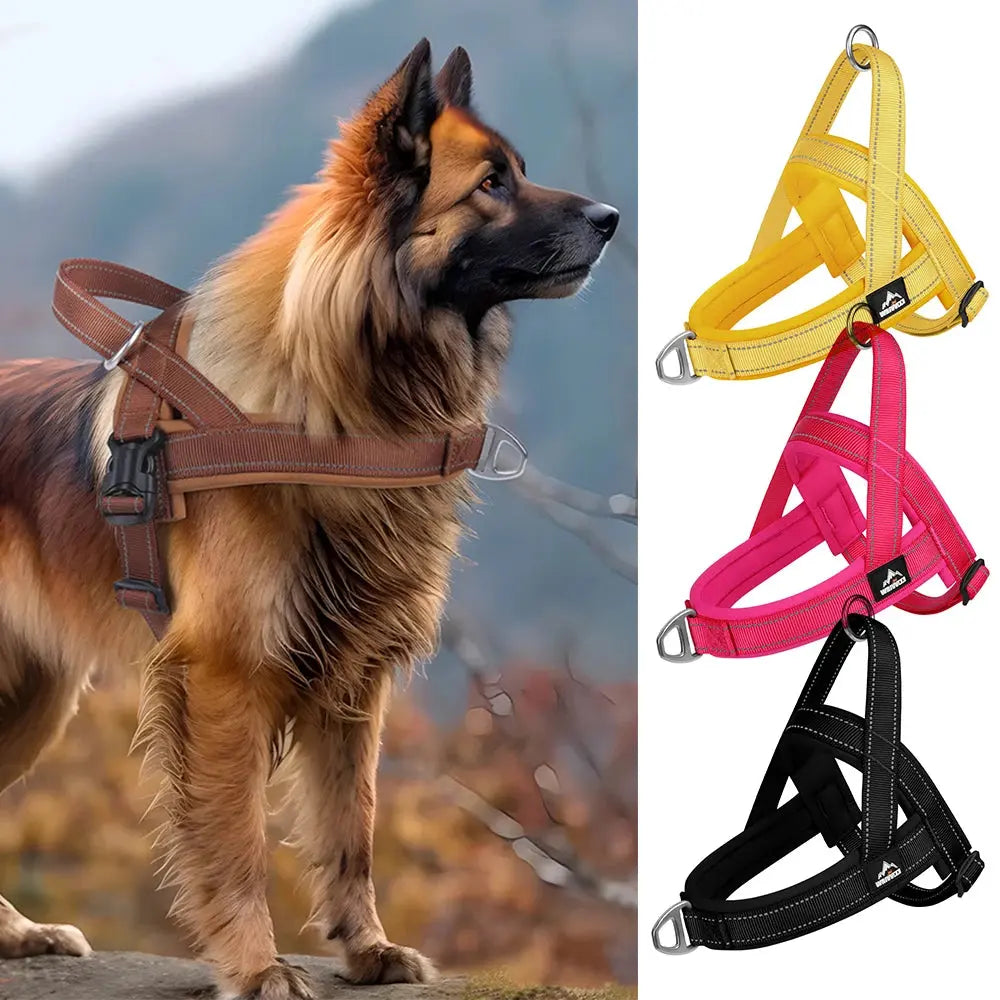 SteadyHalter Harness