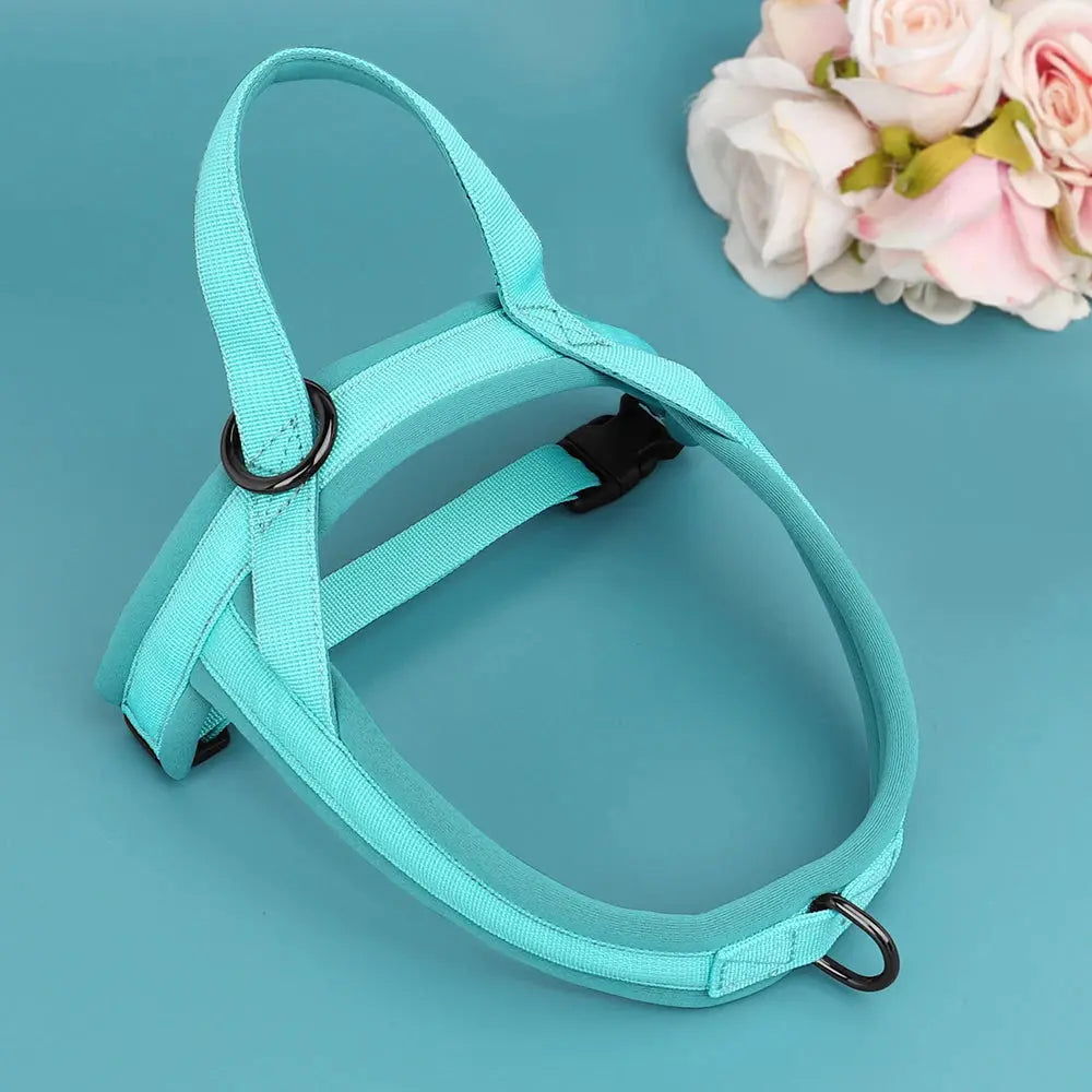 SafeStep Reflective Harness