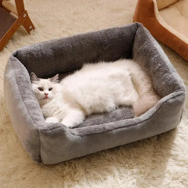 Bed for Cats Pet Products Cushions Kitten Winter Accessories Dog All Houses Supplies Things Accessory Habitats Basket House Beds CobraDobra