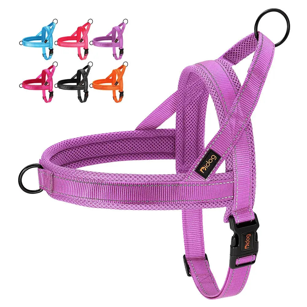 EverGlow Personalized Harness