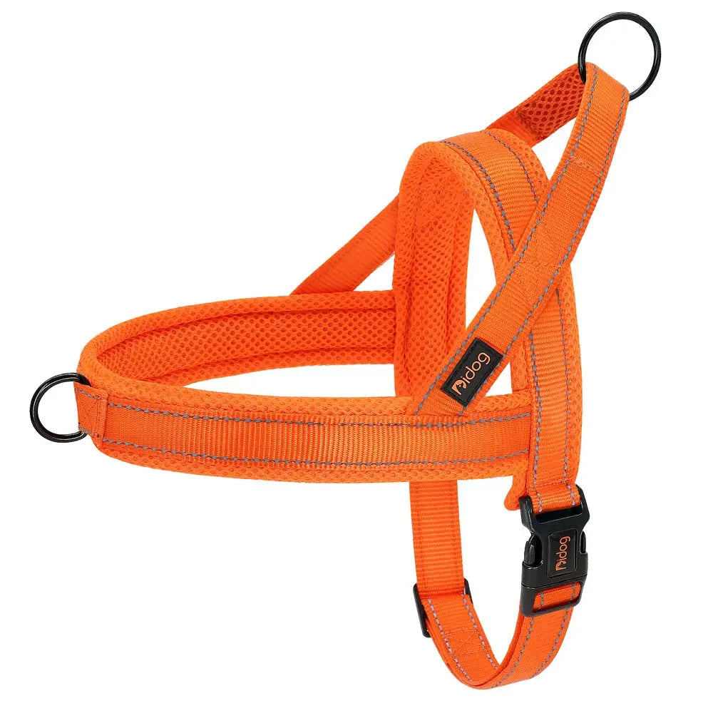 EverGlow Personalized Harness