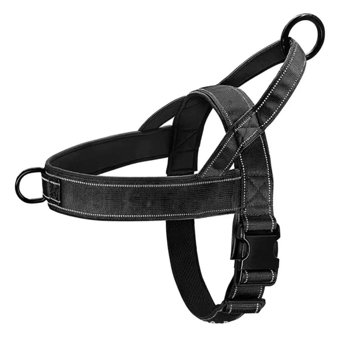 EasyGo Harness