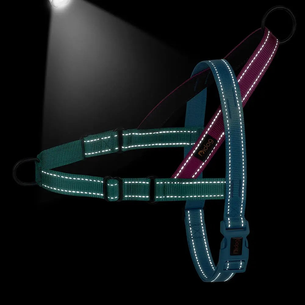 ActiveNight Harness