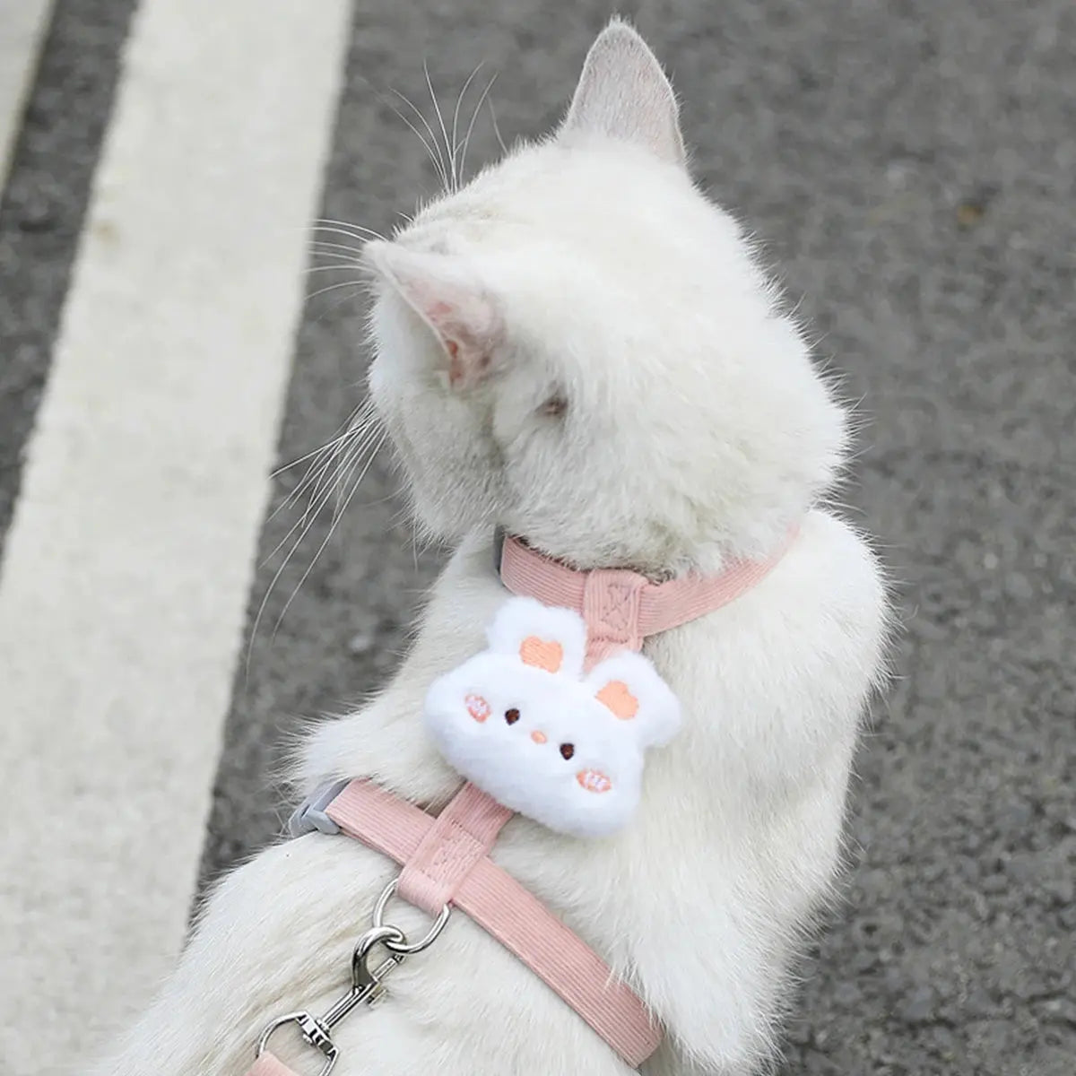Cat Harness and Leash Sets Adjustable Dog Harness for Small Dog Leash Breashable Pet Harness Out Walking Dog Strap CobraDobra