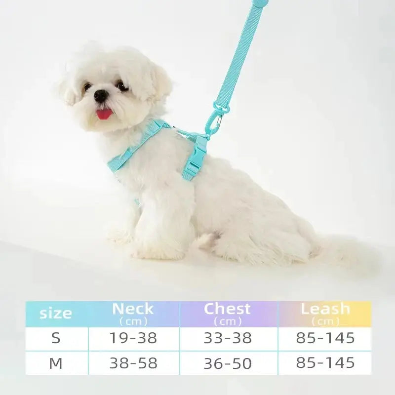 LittleBuddy Essentials