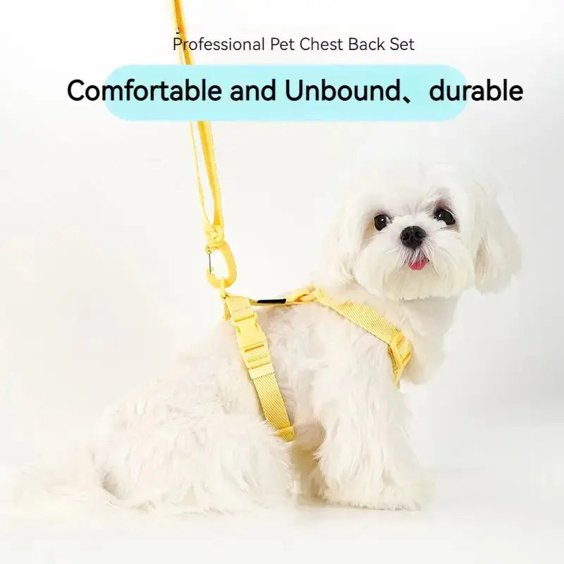 LittleBuddy Essentials