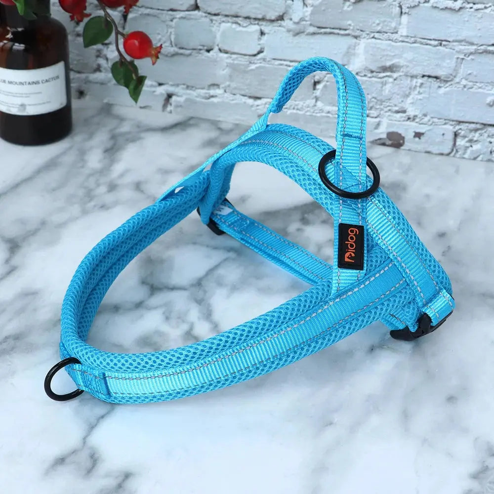 EverGlow Personalized Harness