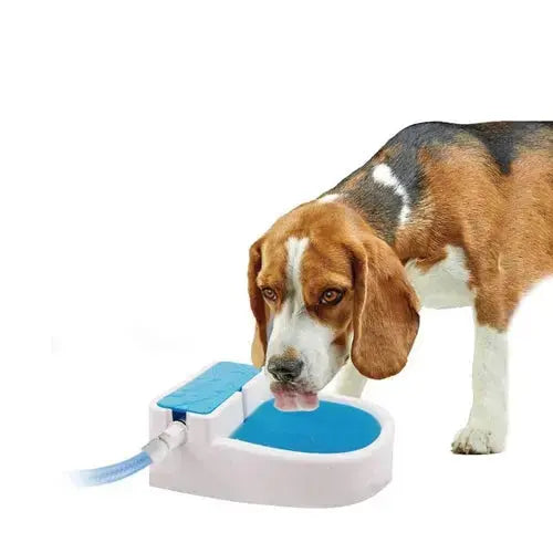 Auto Filling Dog Drinking Water Fountain - Outdoor Automatic Pet CobraDobra