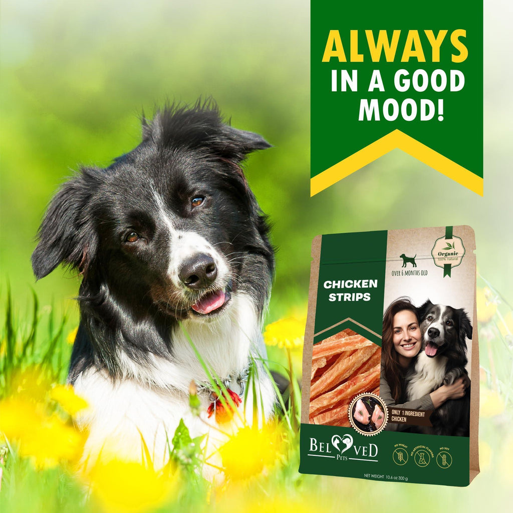 Grain-Free Chicken Treat Sticks for Dogs 10.6 Oz